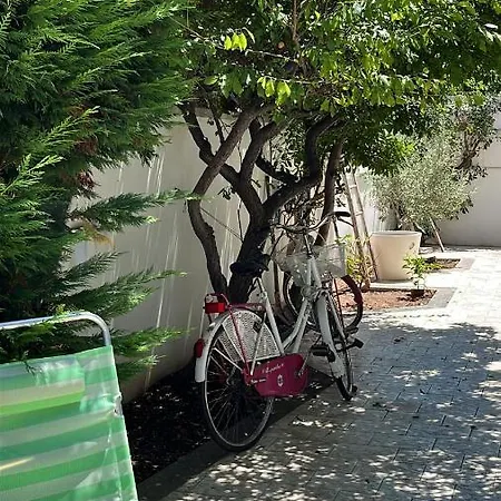 Il Platano Di Nathaly バーリ